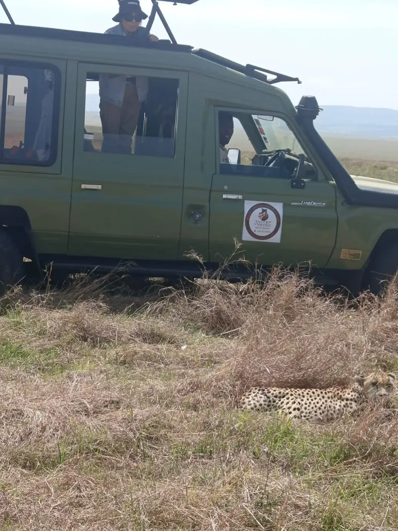 5-Day Kenya Big Five Safari: Amboseli, Lake Nakuru & Maasai Mara