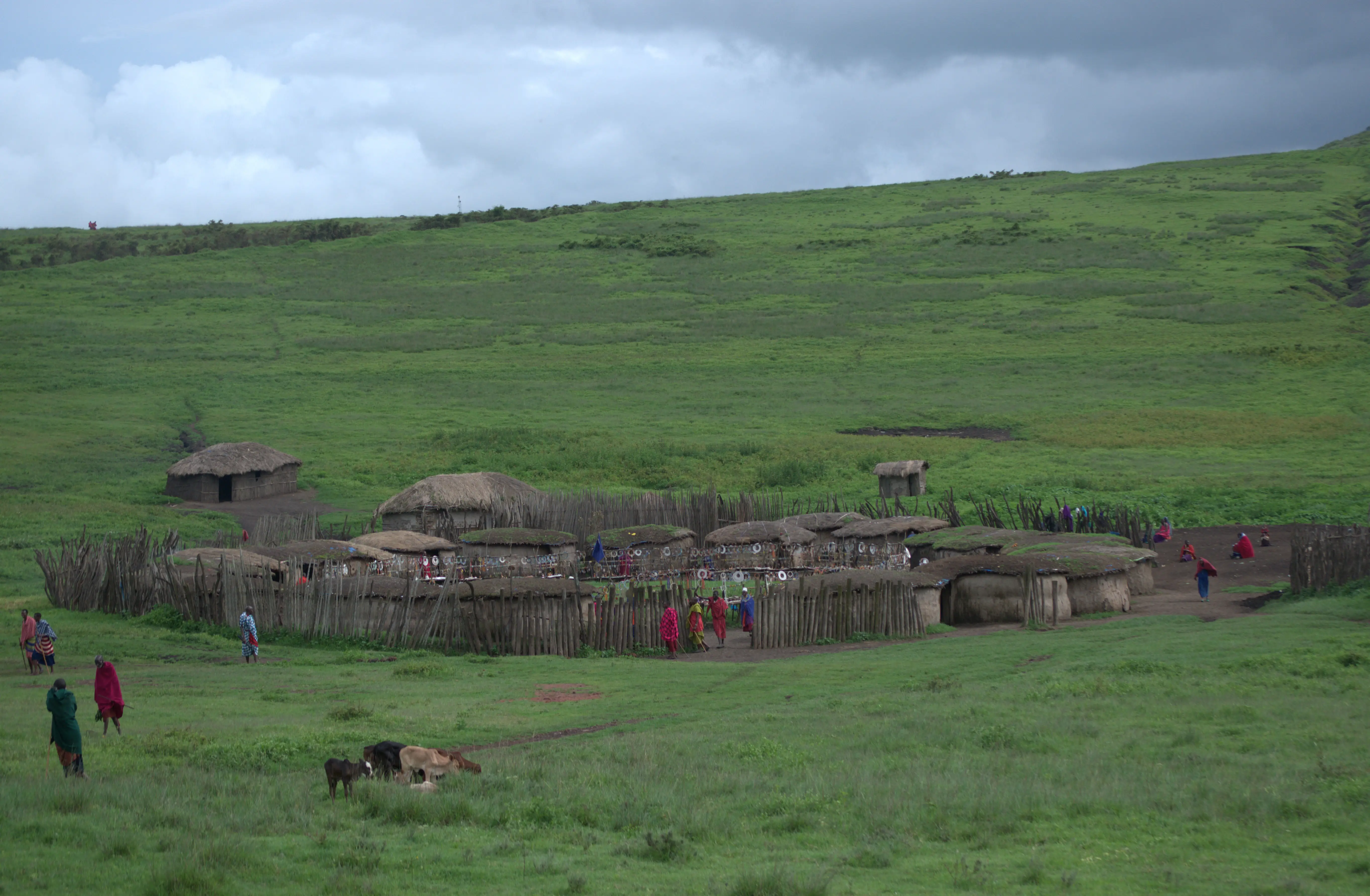 5-Day Luxury Fly-In Safari from Zanzibar: Tarangire, Serengeti, Ngorongoro & Lake Manyara