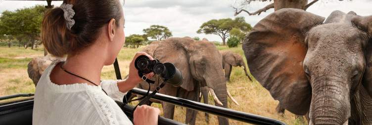 4-Day Marvelous Group Northern Safari