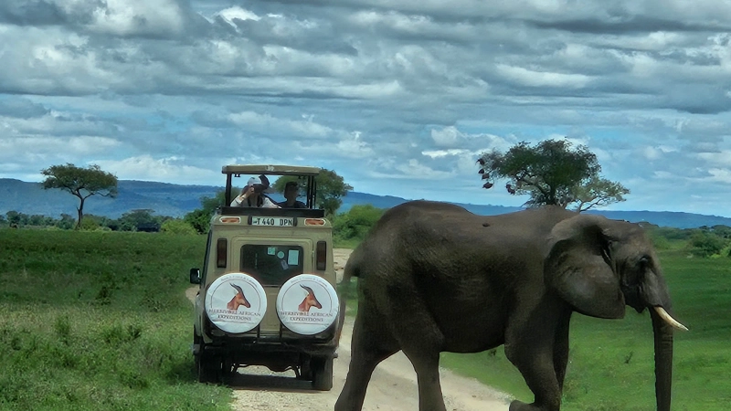 3 Day Private Midrange Safari: Fly In, Fly Out Adventure