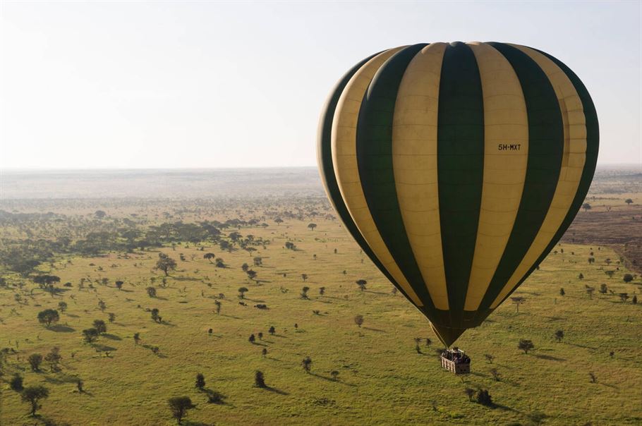 7-Day Serengeti Wildebeest Migration Calving Safari