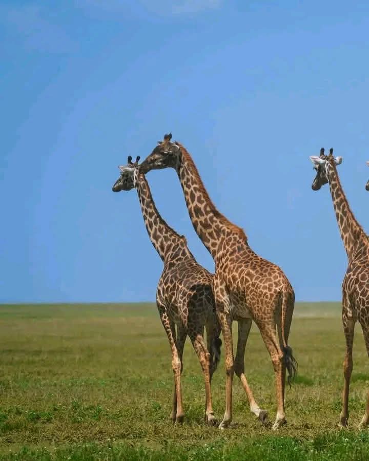 2 Days Rift Valley Escape