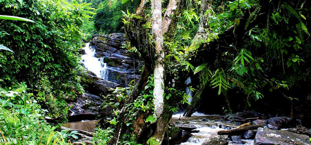 3-Day Amani Nature Forest Reserve Adventure From Dar es Salaam
