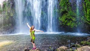 7-Days Wildlife Safari, Materuni Waterfalls, Coffee Tour Experience and Kikuletwa Hot Spring with Special Offer to Explore the daily life of Maasai Community.