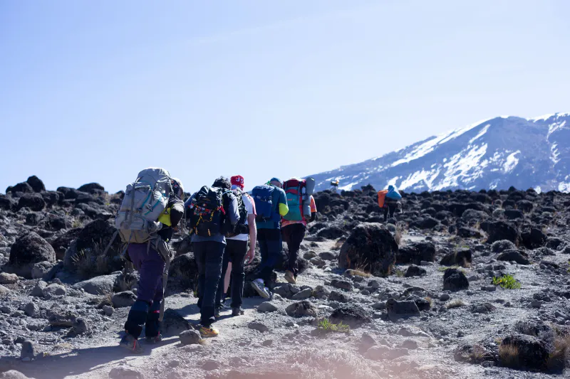 7 Days Machame Route: Kilimanjaro Climbing