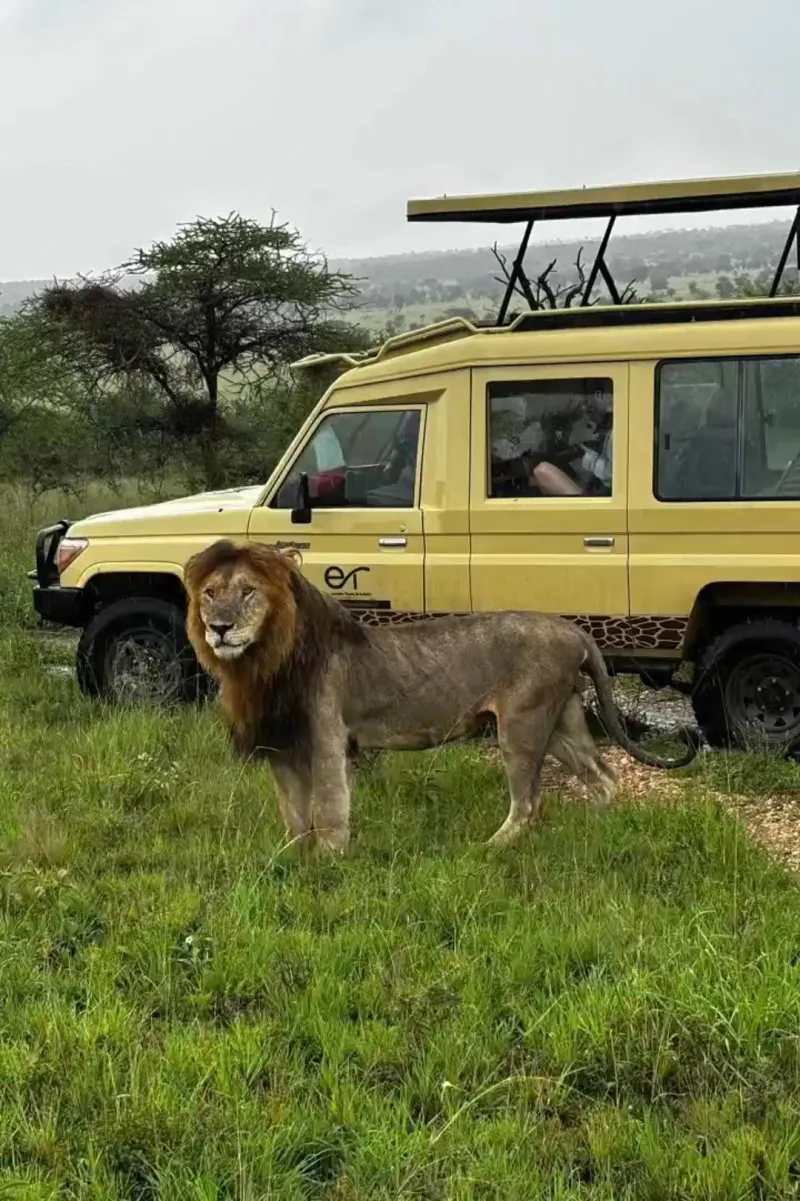 6 Day Lake Manyara, Serengeti, Ngorongoro Crater and Tarangire National Park (Mid- range Level)