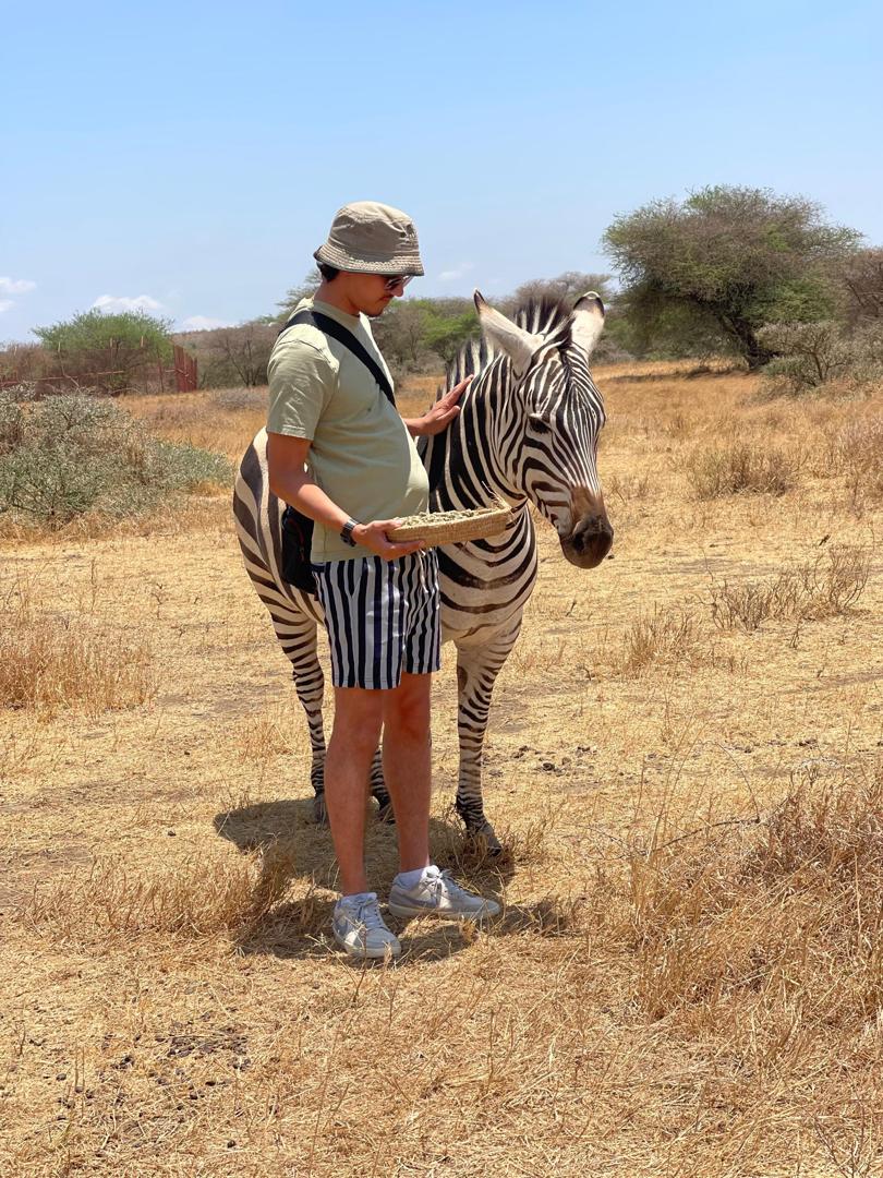 1day trip Serval and Chemka Wildlife trip flying from Zanzibar.