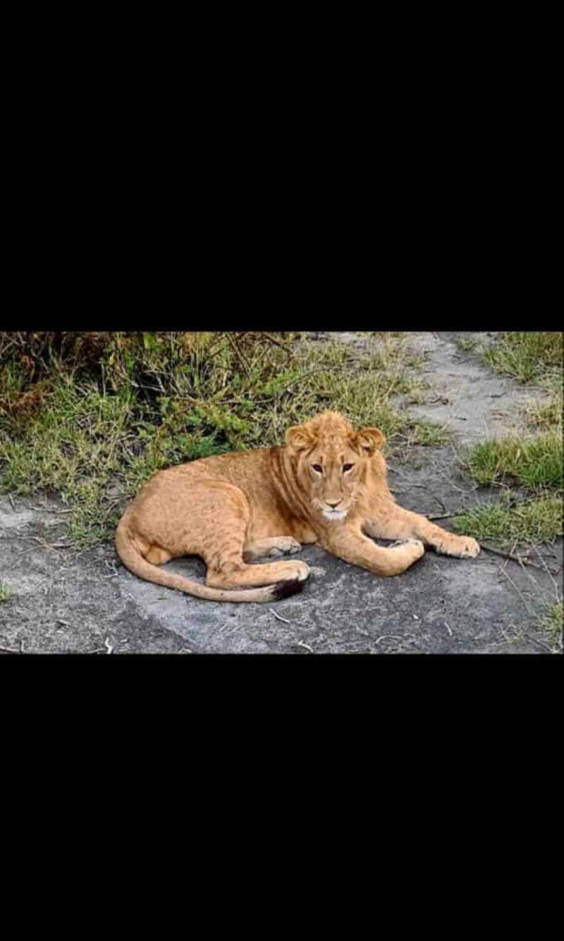 3 Days Tanzania Safari