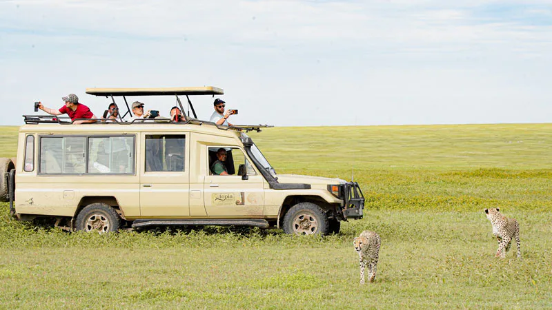 14-Day Tanzania Adventure and Zanzibar holiday