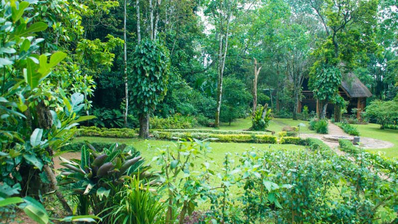 Kibale Forest Camp (Camping)