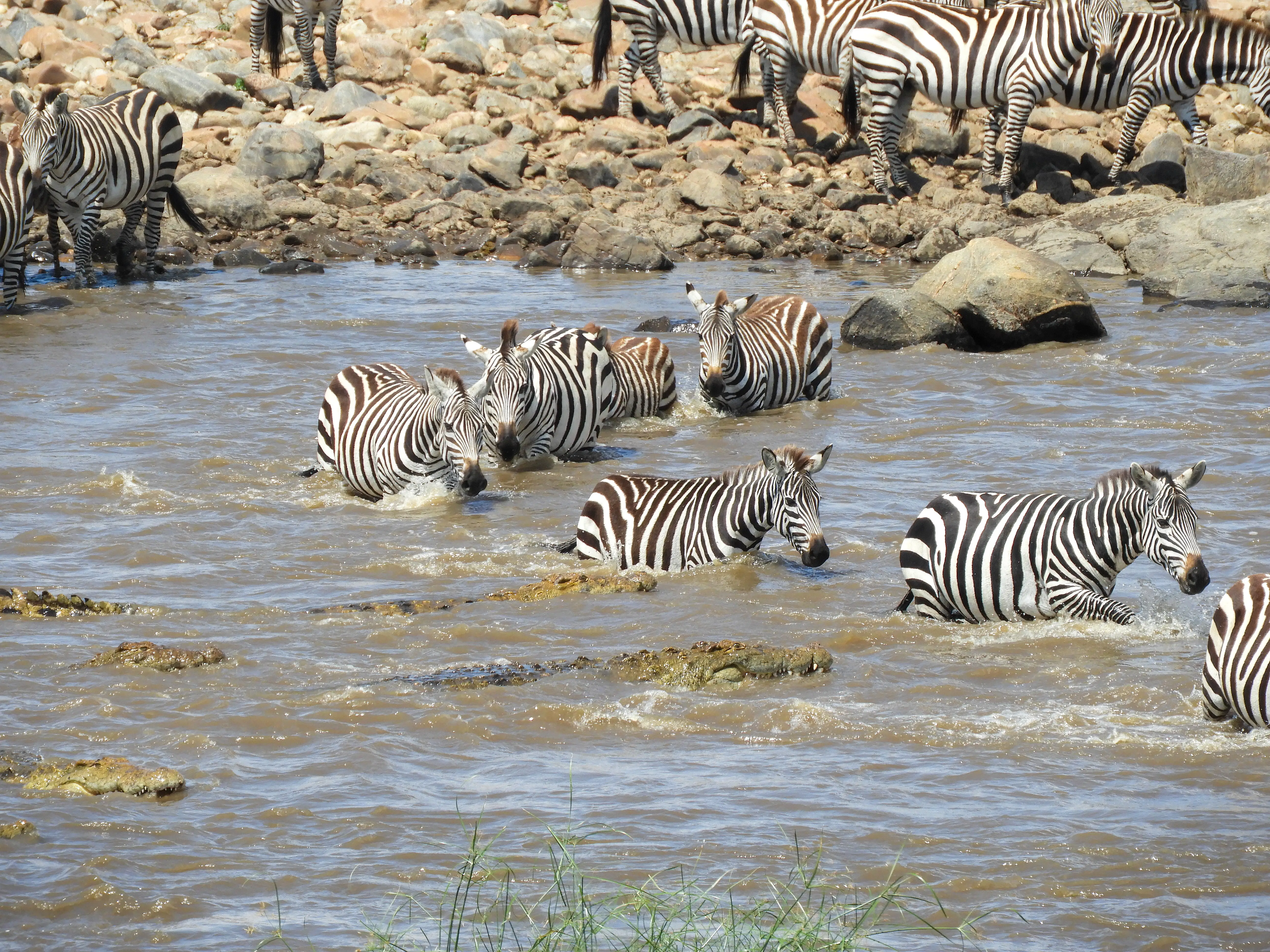 ⭐10-Day From the Wild Heart of Tanzania to the Shores of Paradise — The Ultimate Bush to Beach Journey of Adventure, Culture & Zanzibar Relaxation
