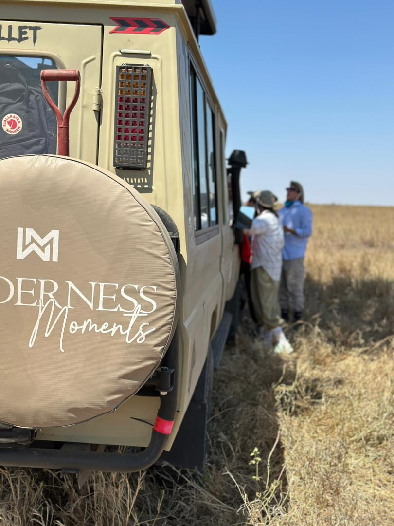 5 Days Tarangire, Serengeti and Ngorongoro Crater Safari