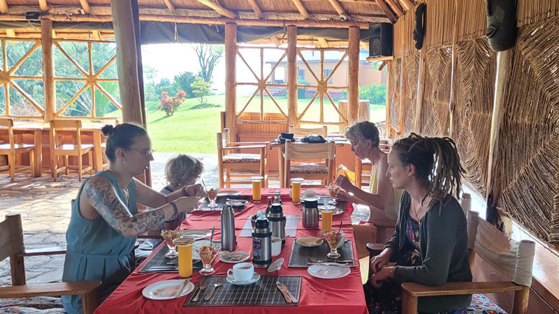 Chimpanzee Forest Lodge