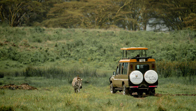 6-Days Ngorongoro, Serengeti, Lake Manyara Experience Safari
