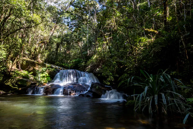 Discovering Andasibe: Rainforest Encounters