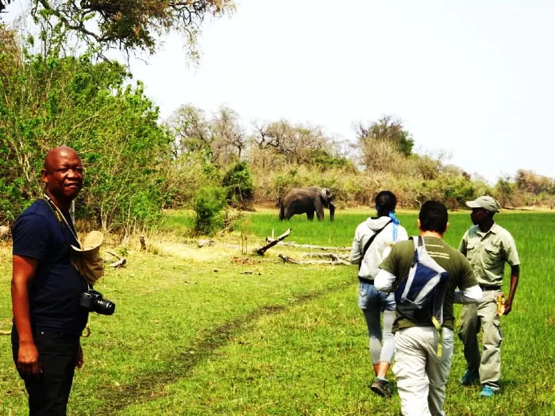 1 - Day Mokoro Tour (Okavango Delta)