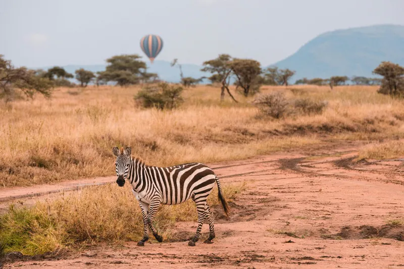 6-Day Best Big Five Safari with Cultural Tour