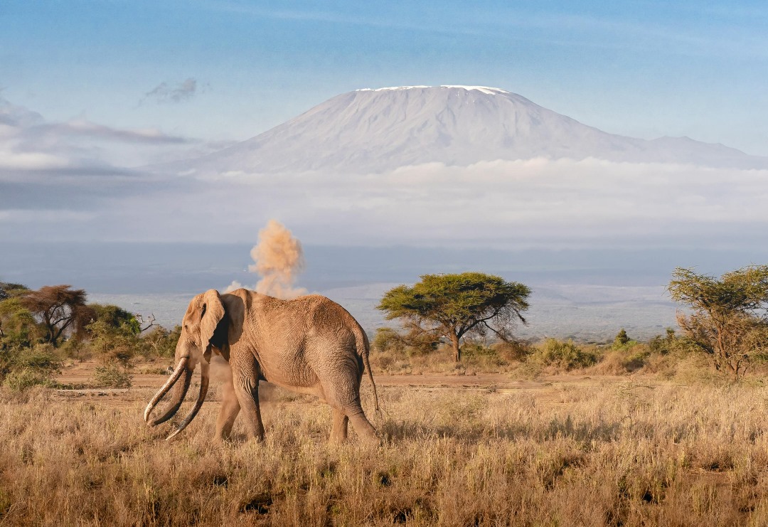 3-Day Private Midrange Serengeti & Ngorongoro Fly-in