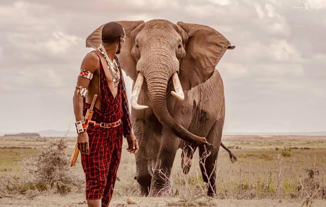 5-Day Fly in Serengeti National Park, Ngorongoro Crater and Maasai Village Tour.