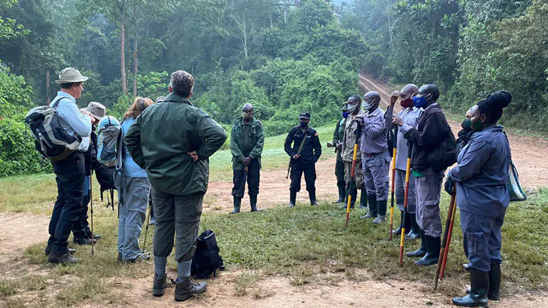 4-days Luxury Gorilla Tracking Safari By Road