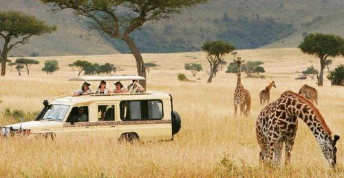 4 Days Mid range Tanzania Safari