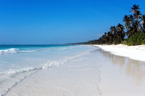 10-Day Serengeti and Zanzibar Luxury Safari and Beach Getaway