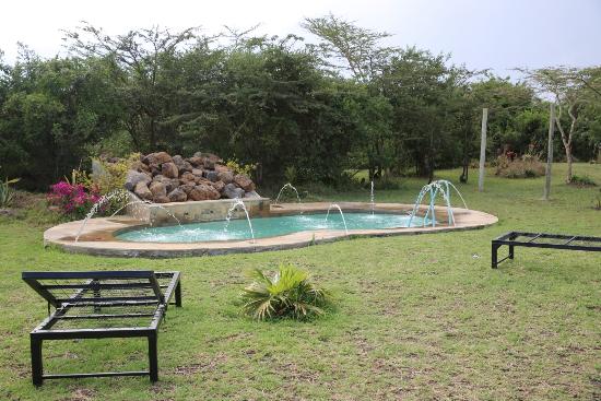 8 Days- Amboseli, L.Naivasha, L. Nakuru, Masai Mara Safari