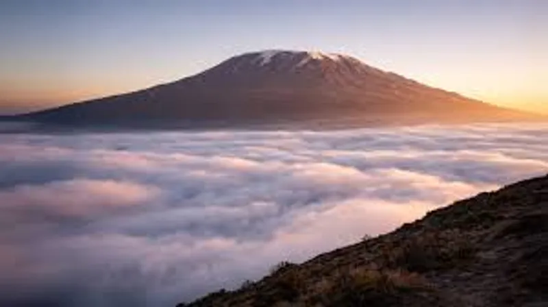 7-Day Mount Kilimanjaro Summit Adventure | Machame Route (Whiskey Route)