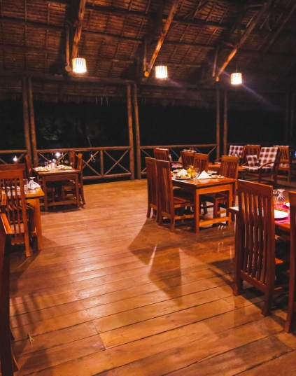 3-Day Nyerere National Park (Selous Game Reserve) Safari Package.