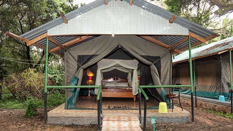 Miti Mingi Eco Camp