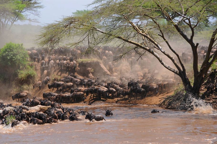 4-Day Tanzania Private Safari-Fly In