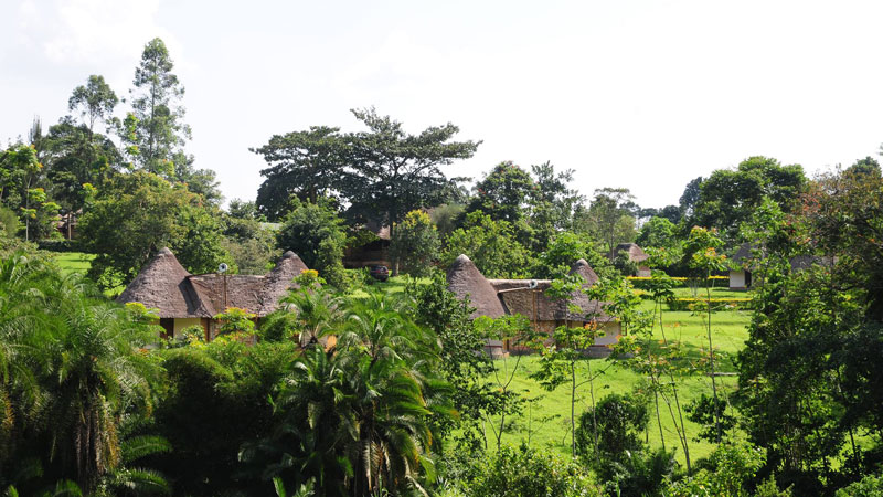 Kibale guest cottages