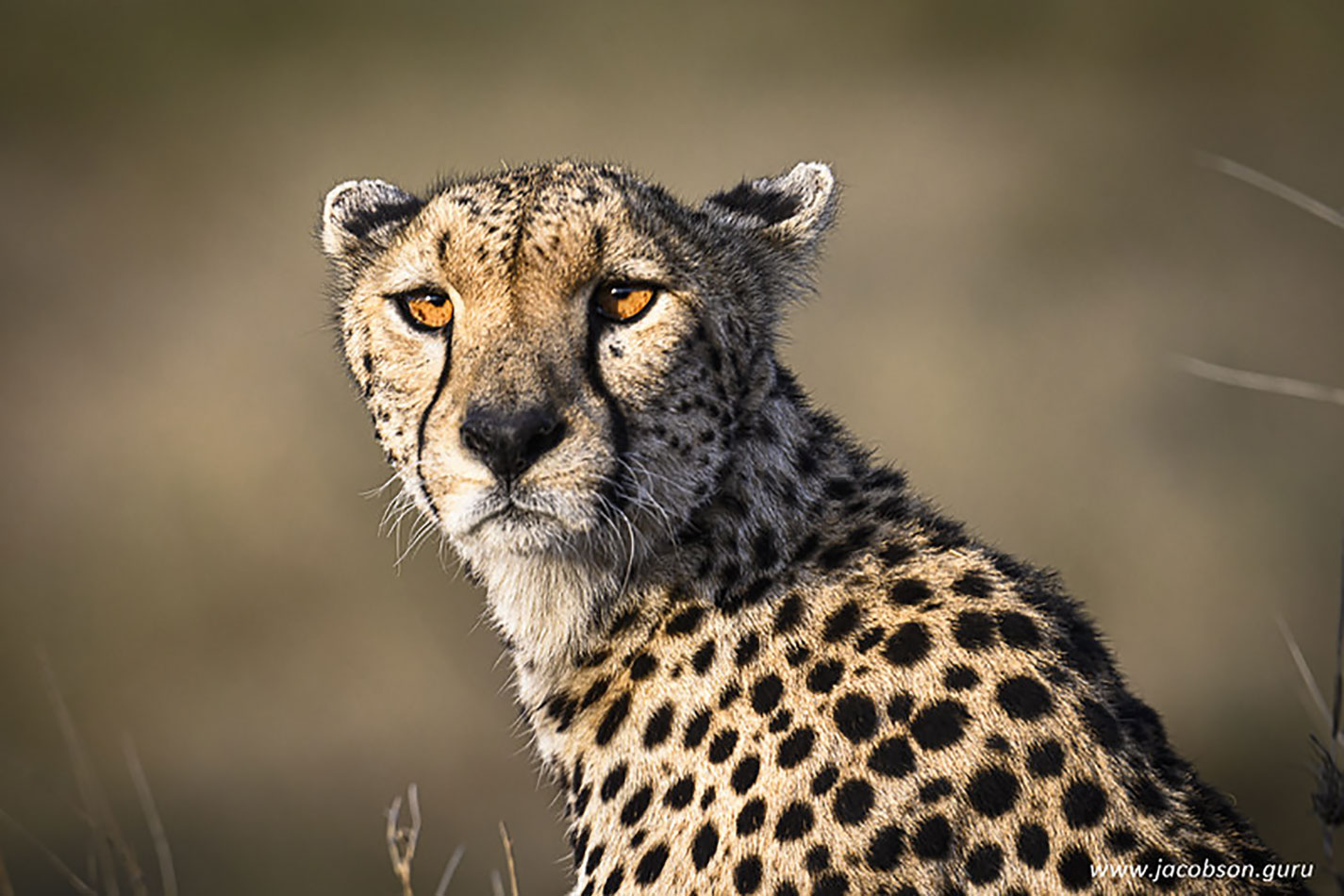 Tanzania Big Five & Beyond – 7 Days Safari
