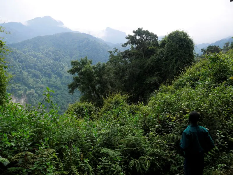 10-Day Hiking Safari to Mountain Rwenzori