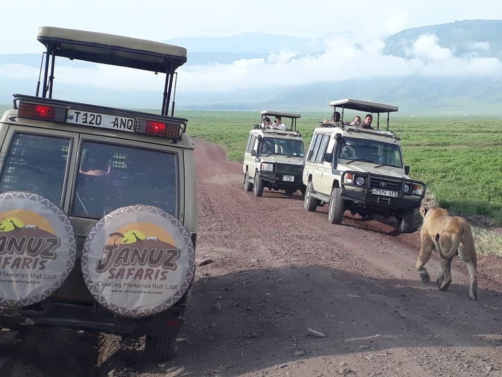 3- Day fly in Midrange Safari to Serengeti and Ngorongoro - Januz Safaris - Safarigo