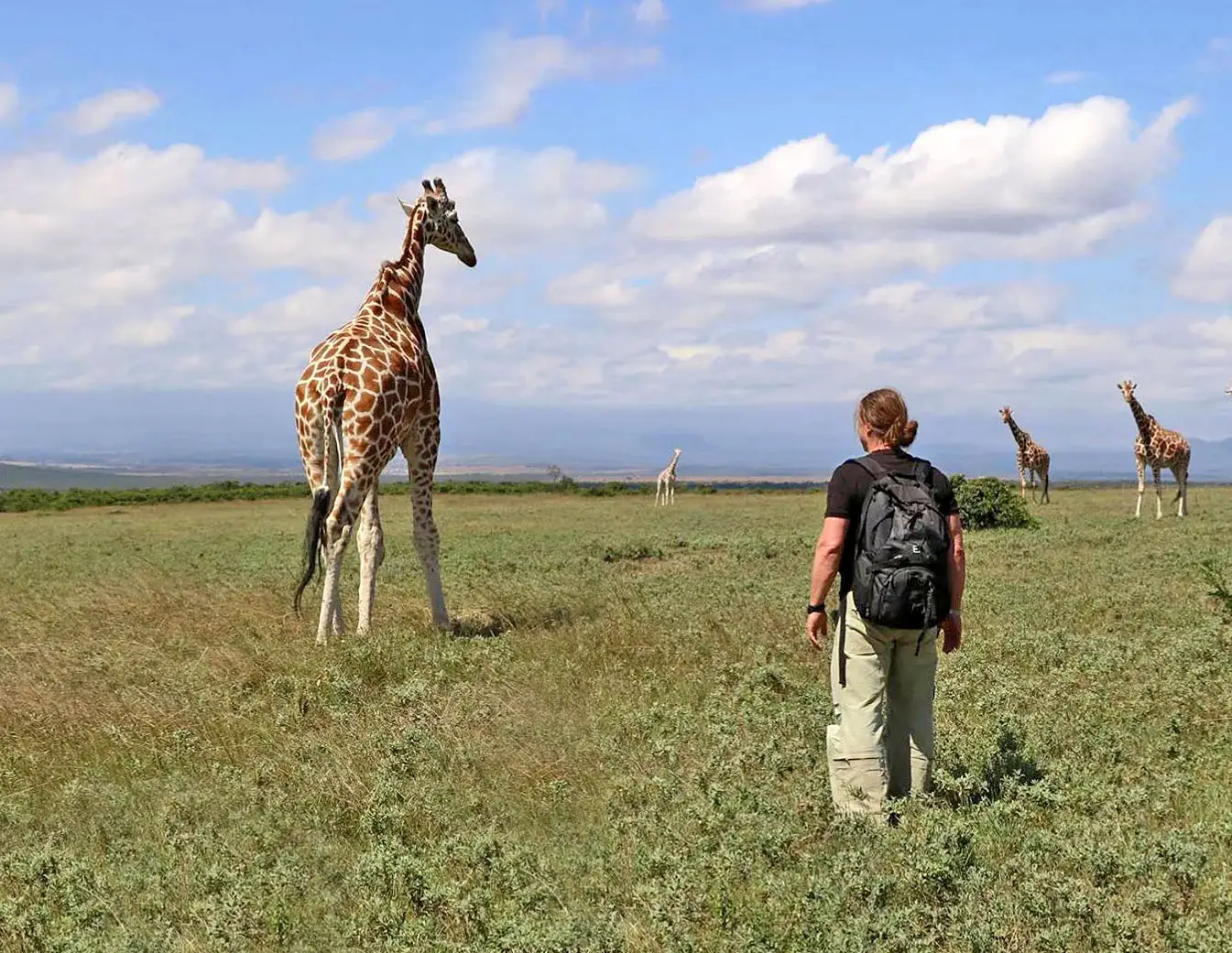 Day Trip To Arusha National Park