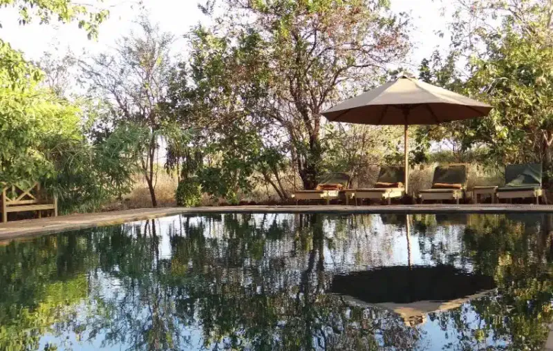 3-Days Meru National Park