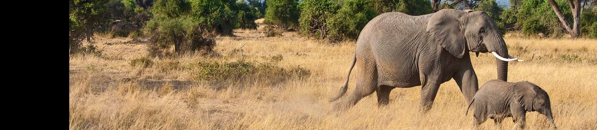7-Day Lakes and Plains of Kenya Safari