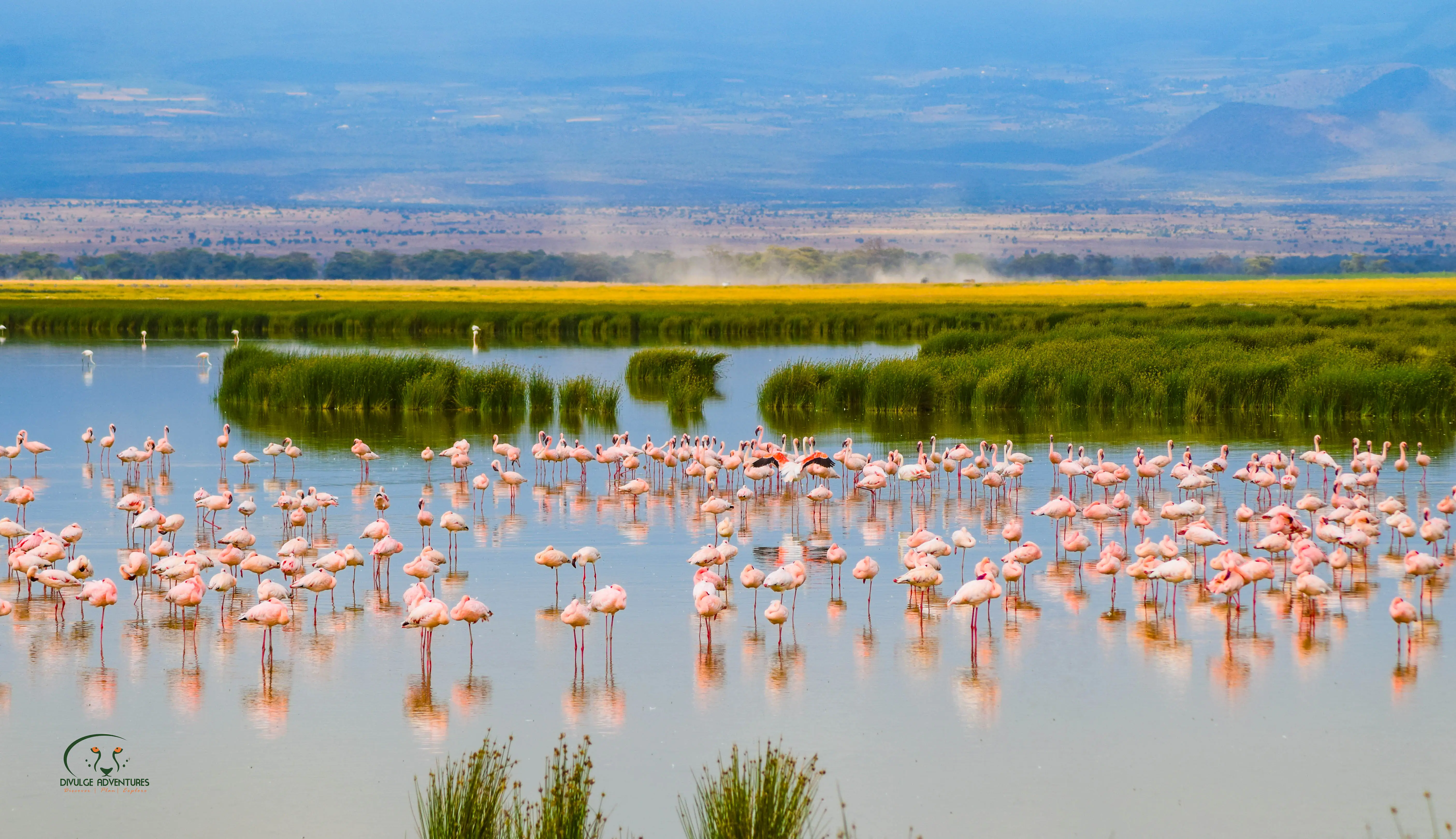 8-Day Amboseli, Naivasha, Nakuru & Masai Mara Sopa Circuit Safari