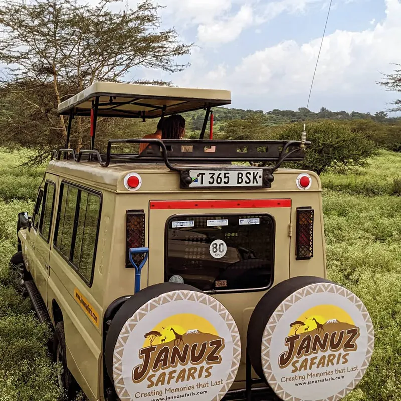 5-Day Luxury Safari in Tarangire, Serengeti, Ngorongoro, and Manyara