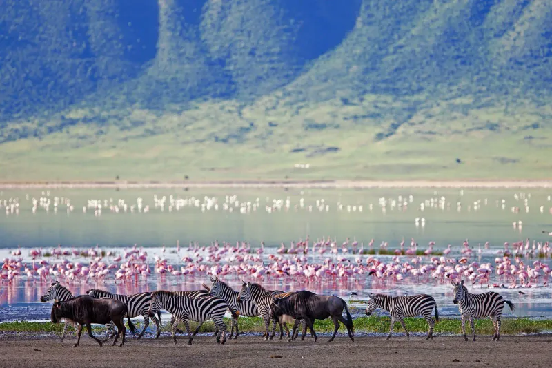 Ngorongoro Crater Day Trip