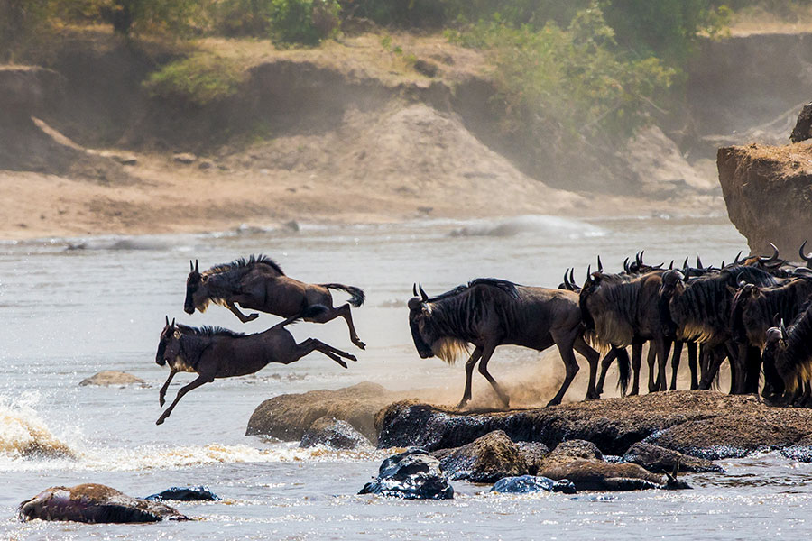 5 DAY EPIC ADVENTURE IN SERENGETI NATIONAL PARK