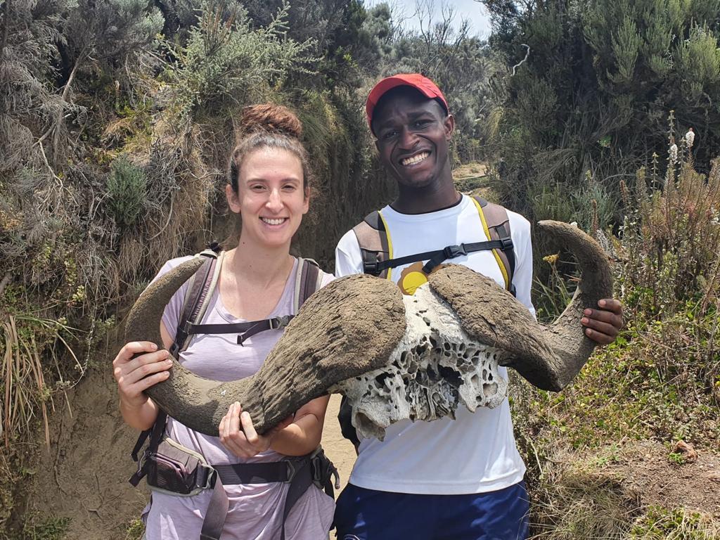 4-Day Trekking Mt Meru - African Traces - Safarigo