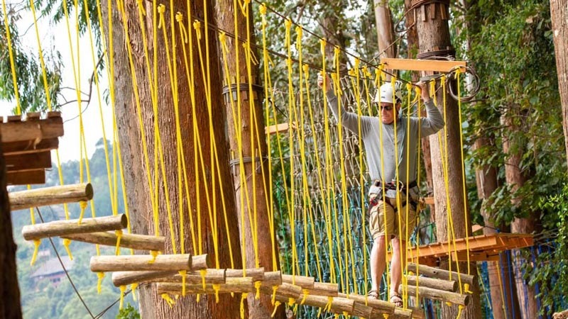 10-Day Uganda Gorilla Trekking and Tanzania Wildlife Tour