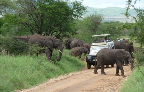 4-Day Big Five Wildlife & Cultural Experience Safari