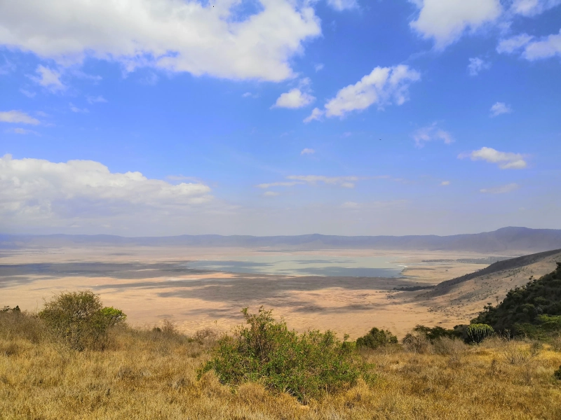 4- Day Great Tanzania Safari - Tarangire or Manyara, Serenegeti and Ngorongoro