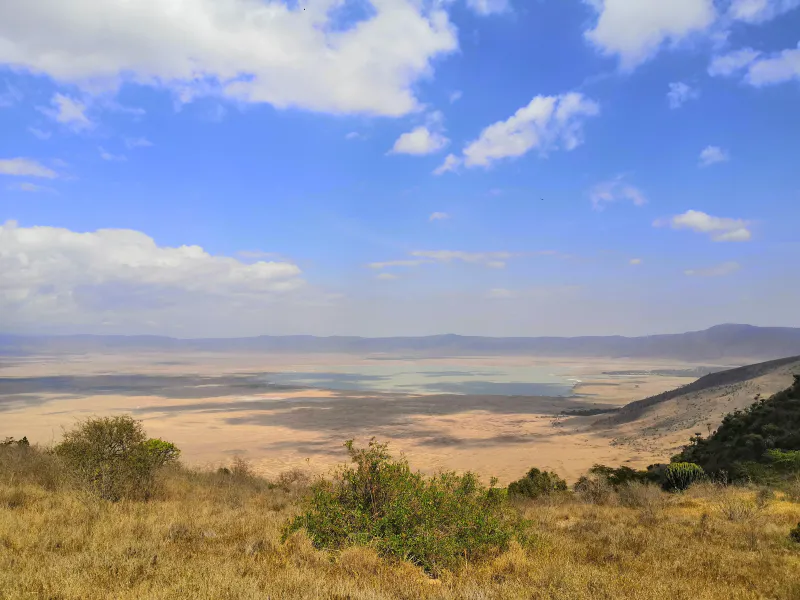 4- Day Great Tanzania Safari - Tarangire or Manyara, Serenegeti and Ngorongoro