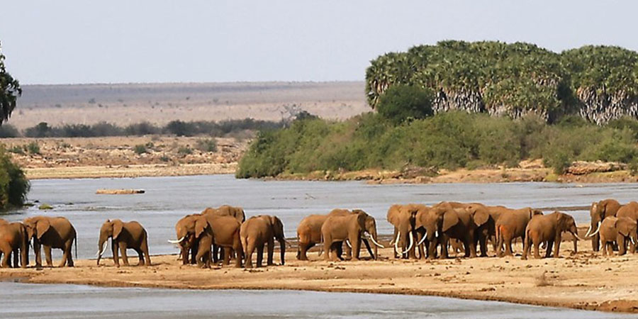 5 Days Safari Adventure (Tsavo East & West)