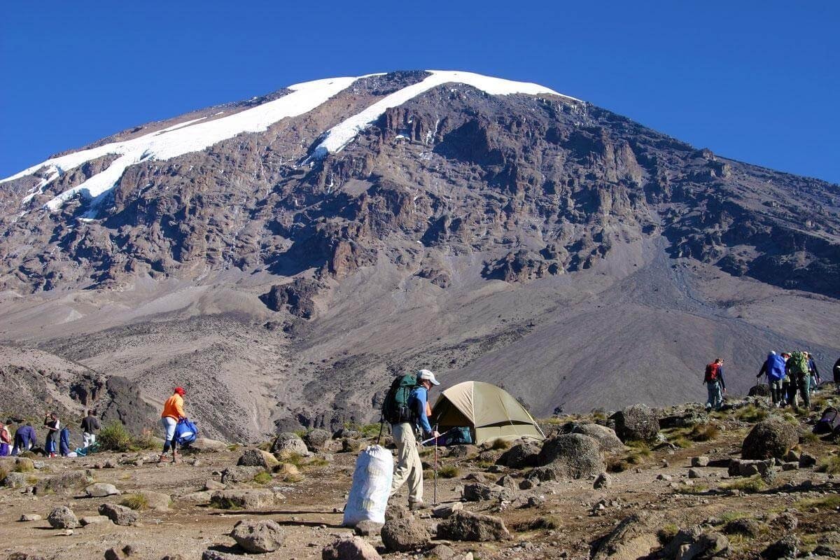 9-Day Mount Kilimanjaro Climb Through Northern Circuit route
