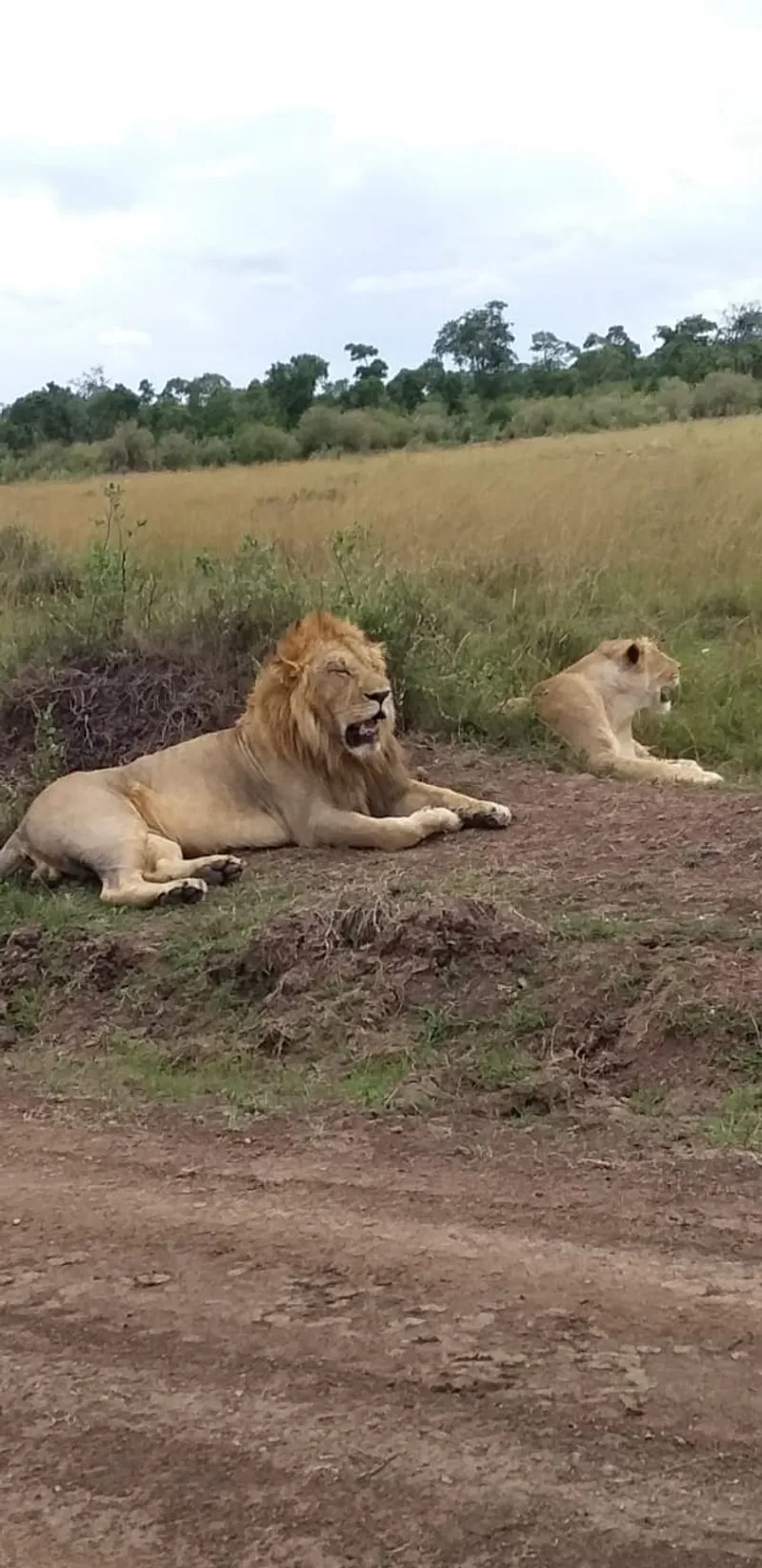 4-Days Rift Valley Adventure Time: Lake Nakuru - Greater Maasai Mara